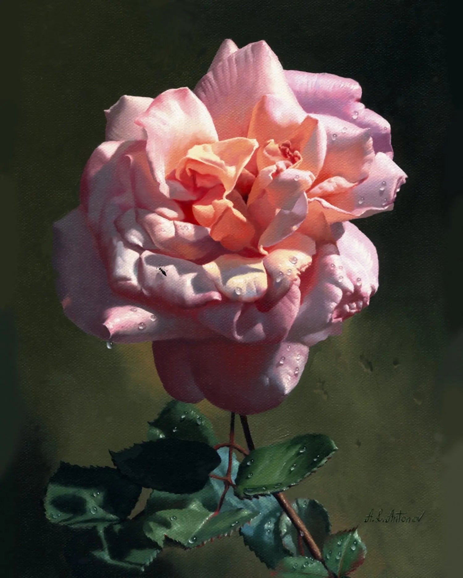 Floral Oil Painting - Pink Rose with Dew Drops - Oil Painting Haven
