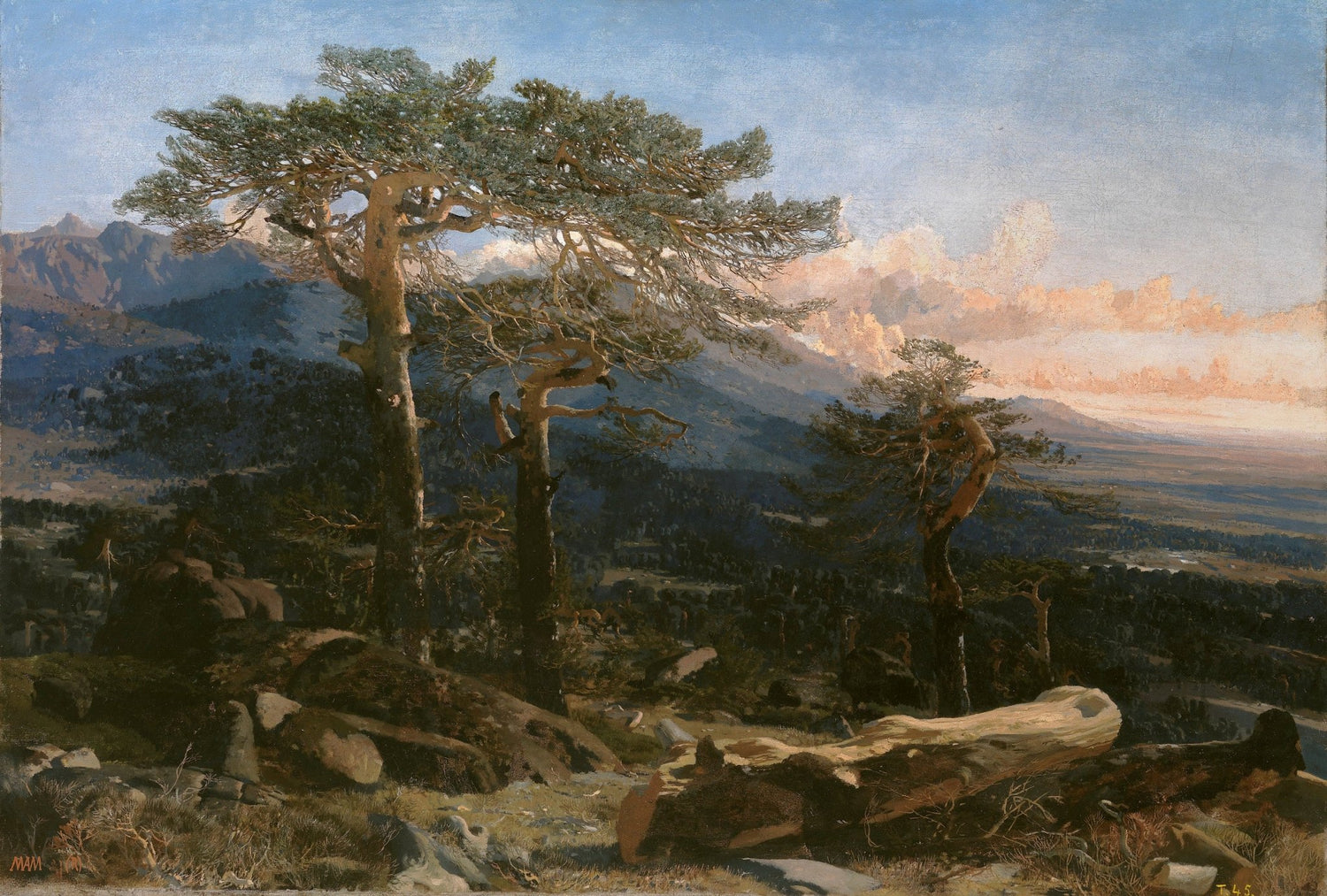 Landscape oil painting of a mountain pine forest with textured brushwork and glowing sunset sky, hand painted oil on canvas. - Add Frame, Canvas, Forest, Hand Painted, Landscape, Made To Order, Mountain, Oil Painting, Sunset