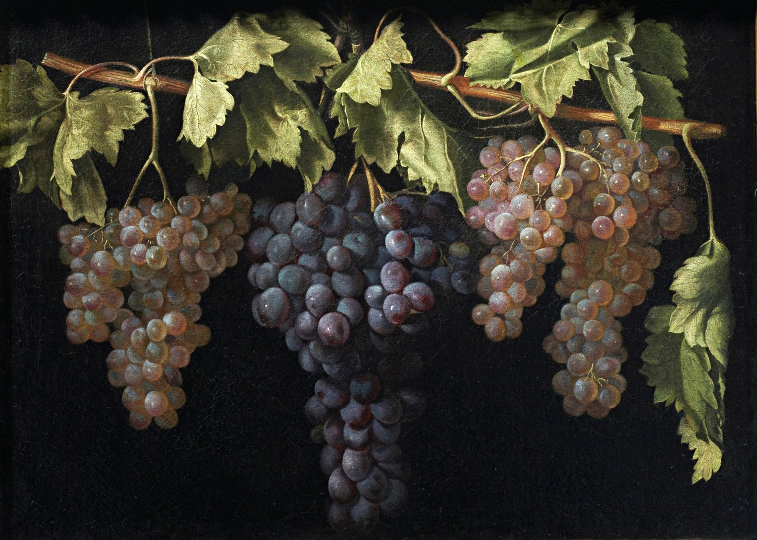 Hanging Grapes with Vine Leaves - Still Life Oil Painting - Oil Painting Haven