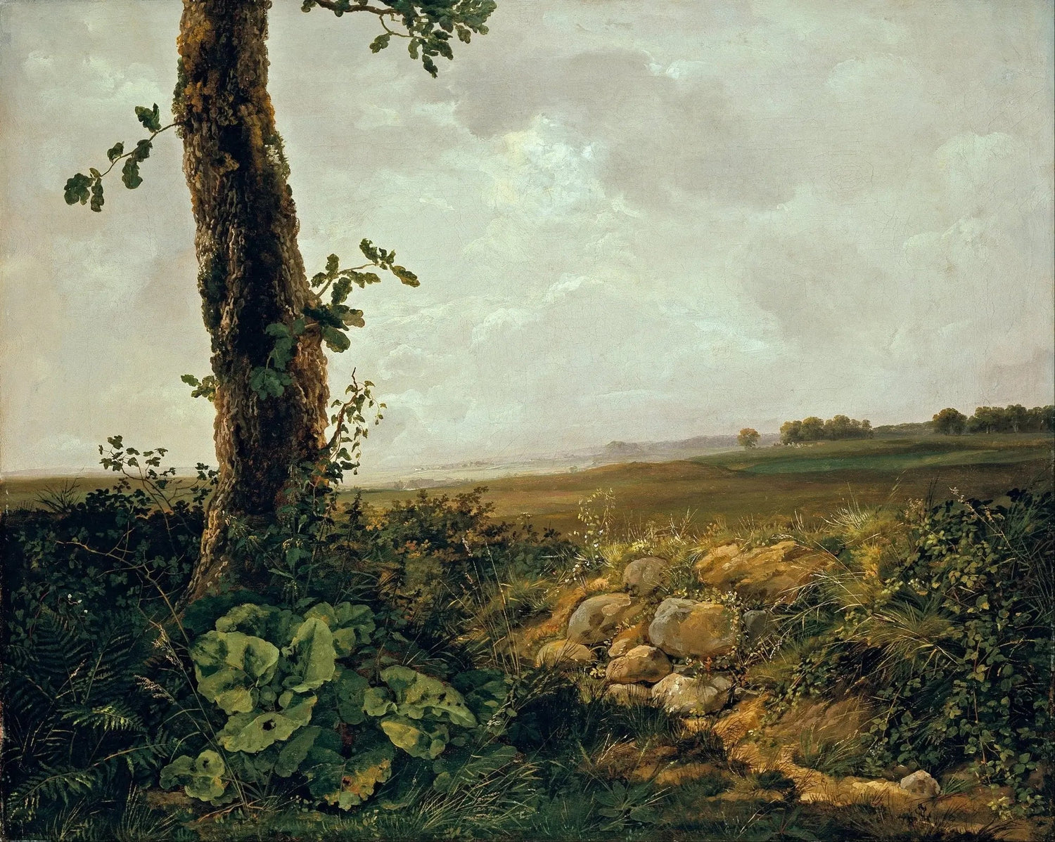 Hand painted landscape oil painting on canvas showing a large tree foreground, rolling hills, and cloudy sky with textured. - Add Frame, Canvas, Country, Forest, Hand Painted, Landscape, Made To Order, Mountain, Oil Painting