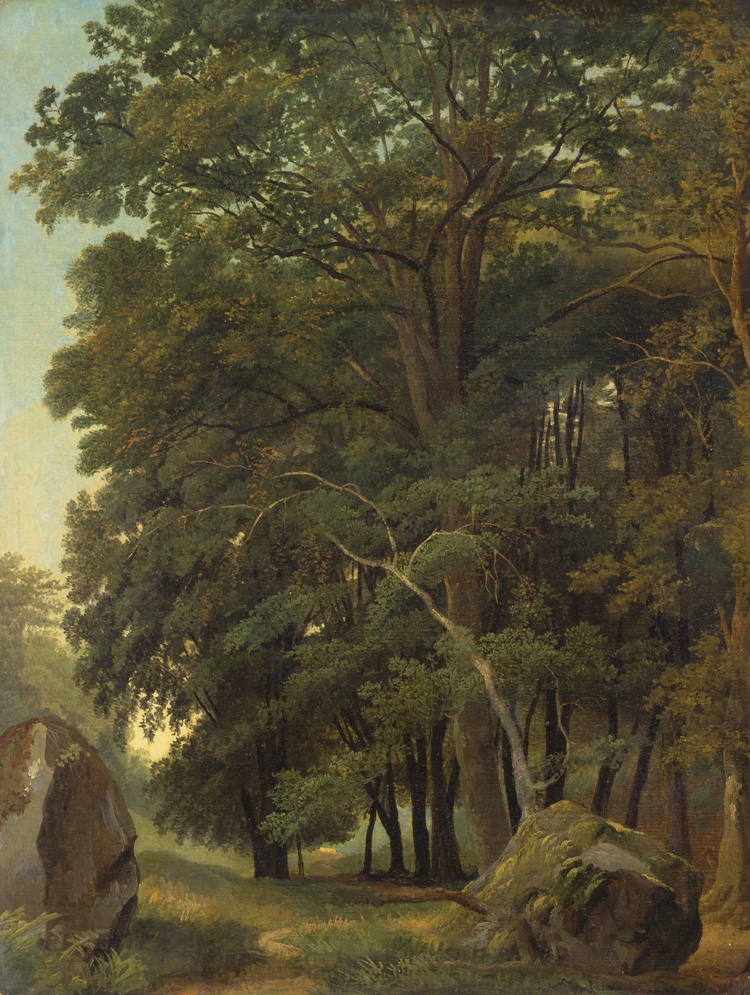 Landscape Oil Painting - ense Forest, Large Trees, Rocks & Path - Oil Painting Haven