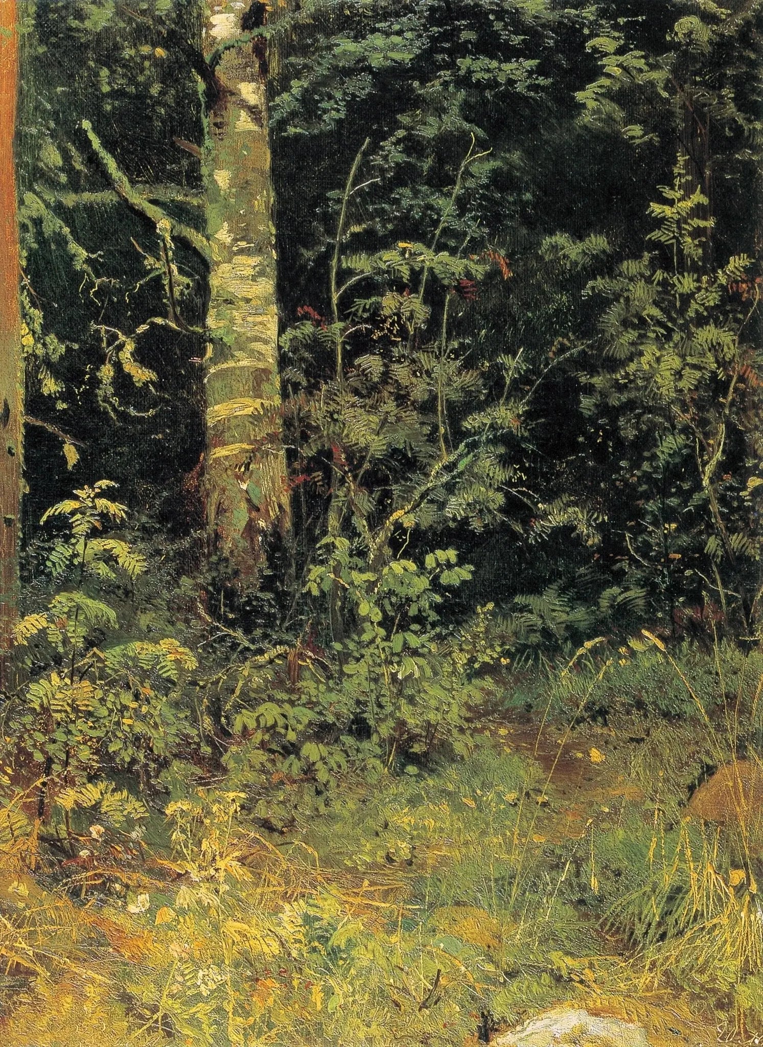 Landscape Oil Painting - Forest Interior with Foliage Wall Art - Oil Painting Haven