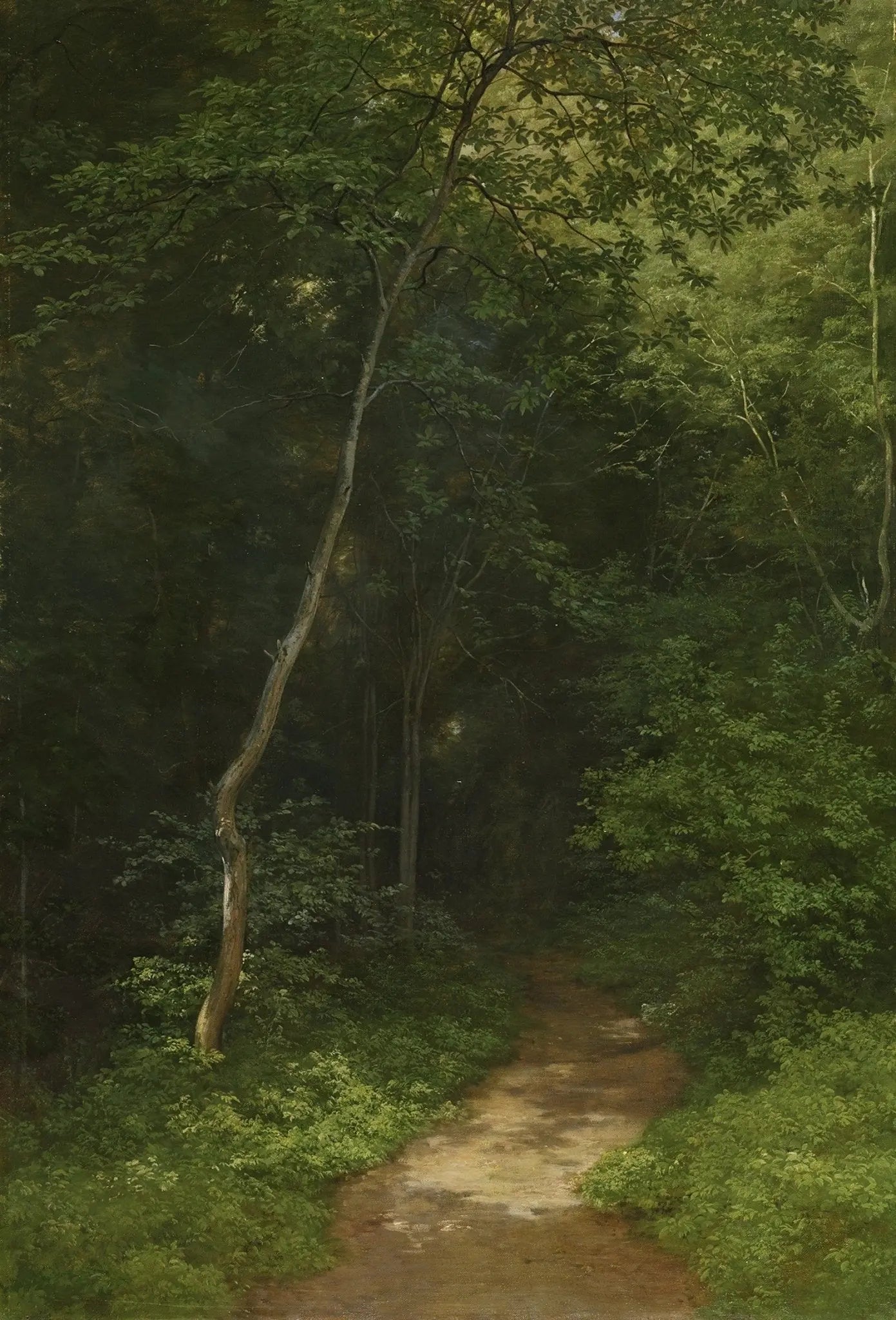 Landscape Oil Painting - Forest Path in Lush Greenery Wall Art - Oil Painting Haven
