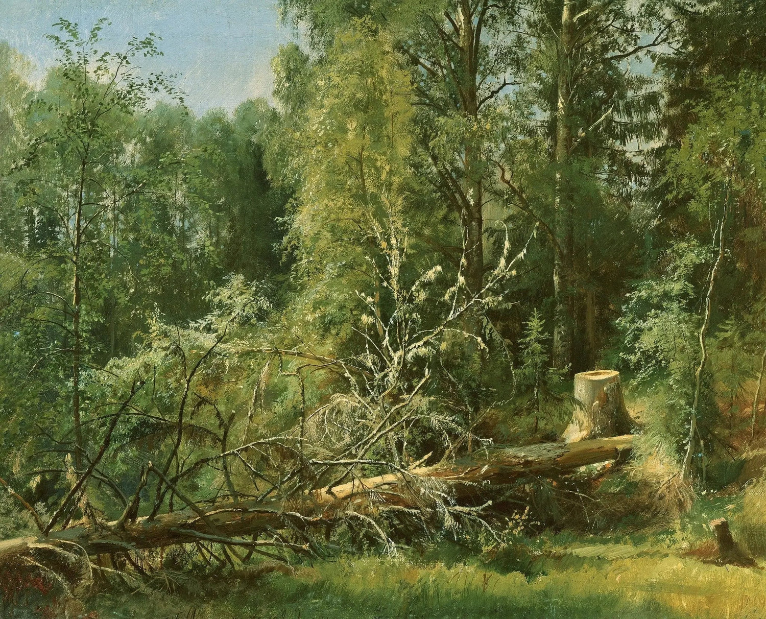 Landscape Oil Painting - Forest with Fallen Tree Wall Art - Oil Painting Haven