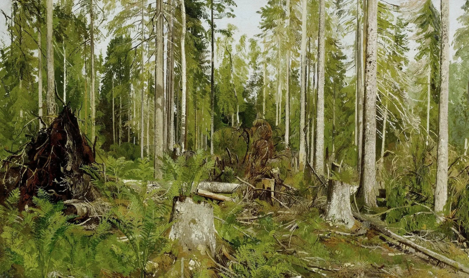 Landscape Oil Painting - Forest with Tree Stumps and Ferns Wall Art - Oil Painting Haven