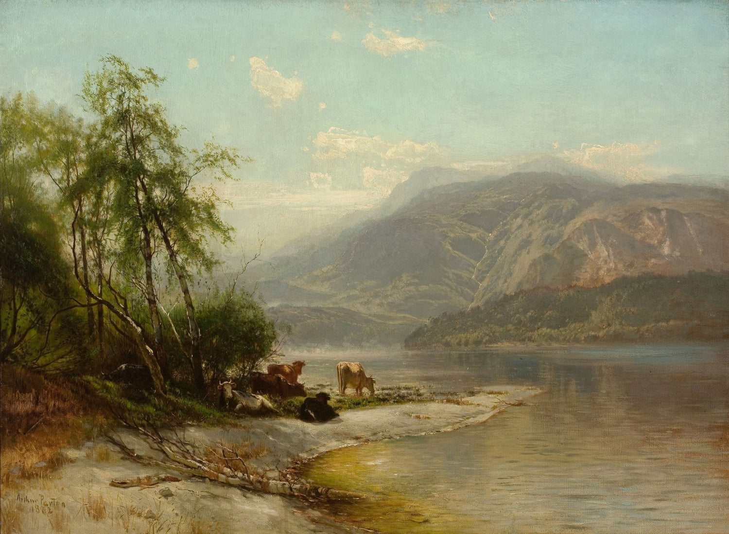 Landscape Oil Painting - Lake Shore Cattle, Mountains & Trees - Oil Painting Haven