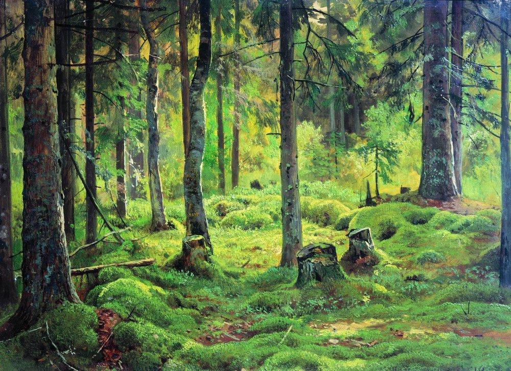 Hand-painted mossy forest clearing with birch trees landscape oil painting on canvas