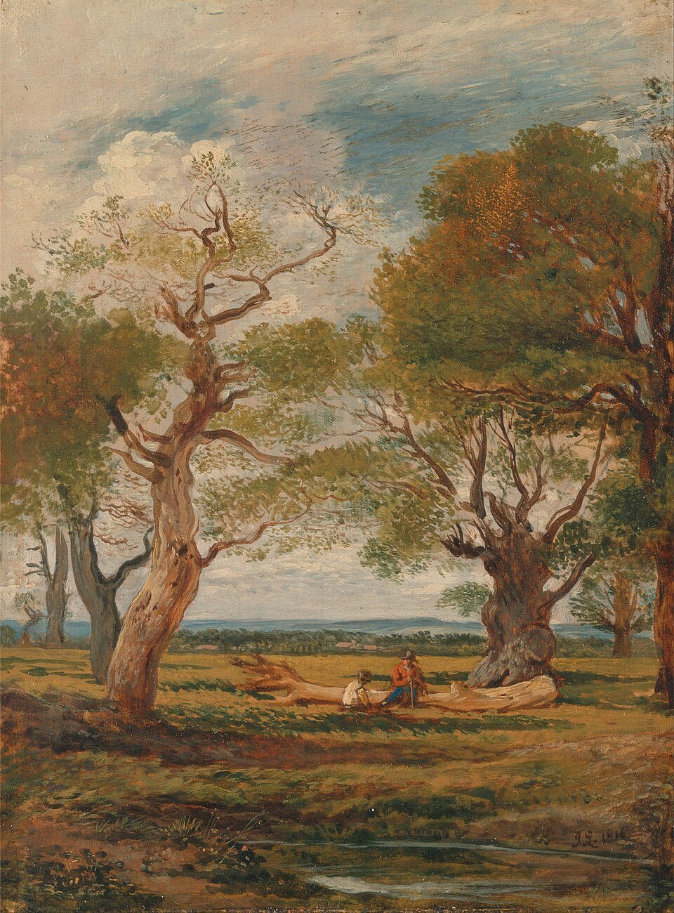 Hand-painted open meadow with old trees landscape oil painting on canvas