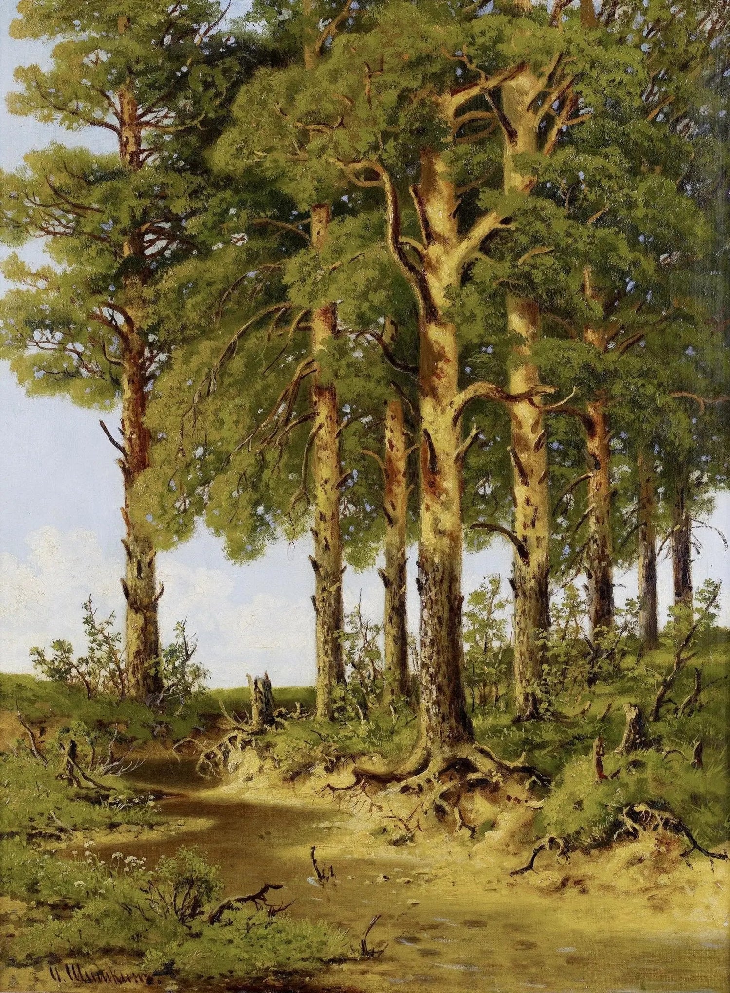 Landscape oil painting of a sunlit pine forest with a winding stream, hand painted oil on canvas with textured brushwork. - Add Frame, Canvas, Forest, Hand Painted, Landscape, Made To Order, Oil Painting, River