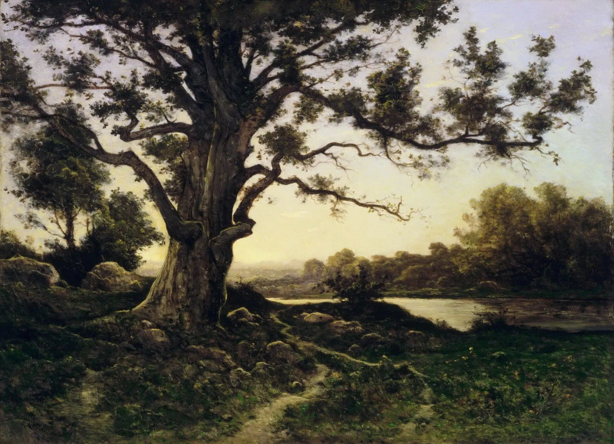 Landscape oil painting of a large tree by a riverside with textured brushwork in oil on canvas, hand painted with rich earth . - Add Frame, Canvas, Forest, Hand Painted, Landscape, Made To Order, Oil Painting, River