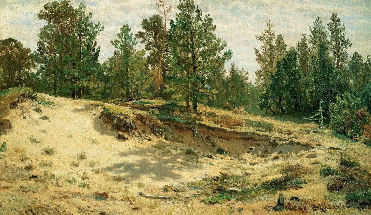 Landscape oil painting of a sandy forest clearing with tall pine trees, oil on canvas with textured brushwork and rich. - Add Frame, Canvas, Forest, Hand Painted, Landscape, Made To Order, Oil Painting
