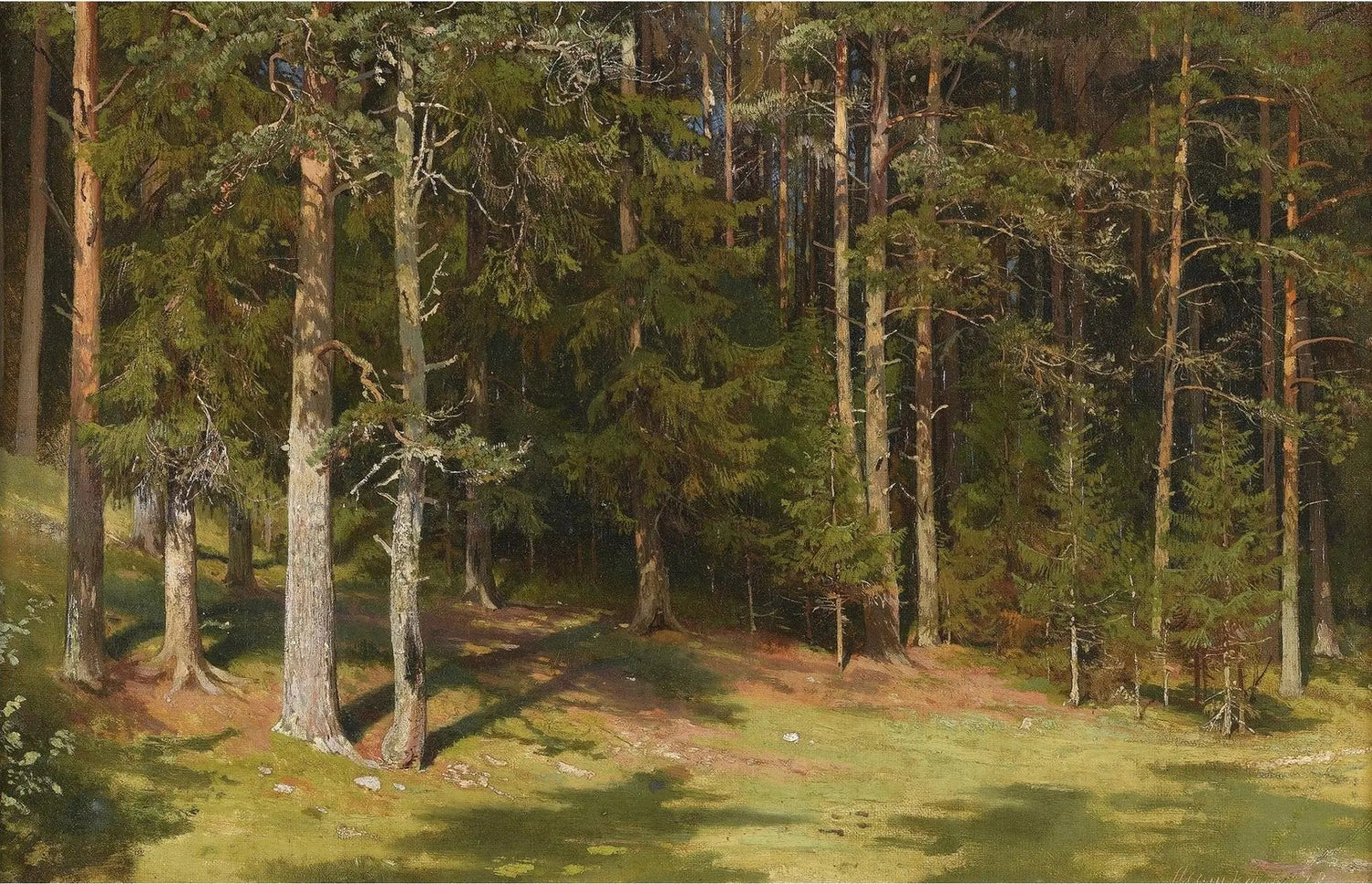 Hand painted landscape oil painting of sunlit forest glade with birch and pine trees, textured brushwork on canvas. - Add Frame, Canvas, Forest, Hand Painted, Landscape, Made To Order, Oil Painting