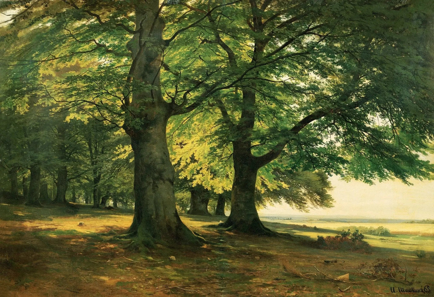 Landscape oil painting of sunlit forest with large trees, textured brushwork on oil on canvas, hand painted oil painting. - Add Frame, Canvas, Forest, Hand Painted, Landscape, Made To Order, Oil Painting