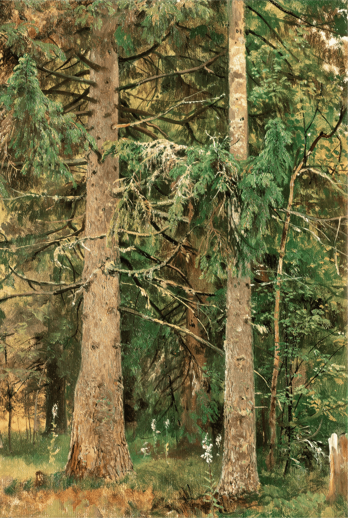 Tableau à l'huile d'une forêt de grands pins – Art luxuriant pour la décoration intérieure