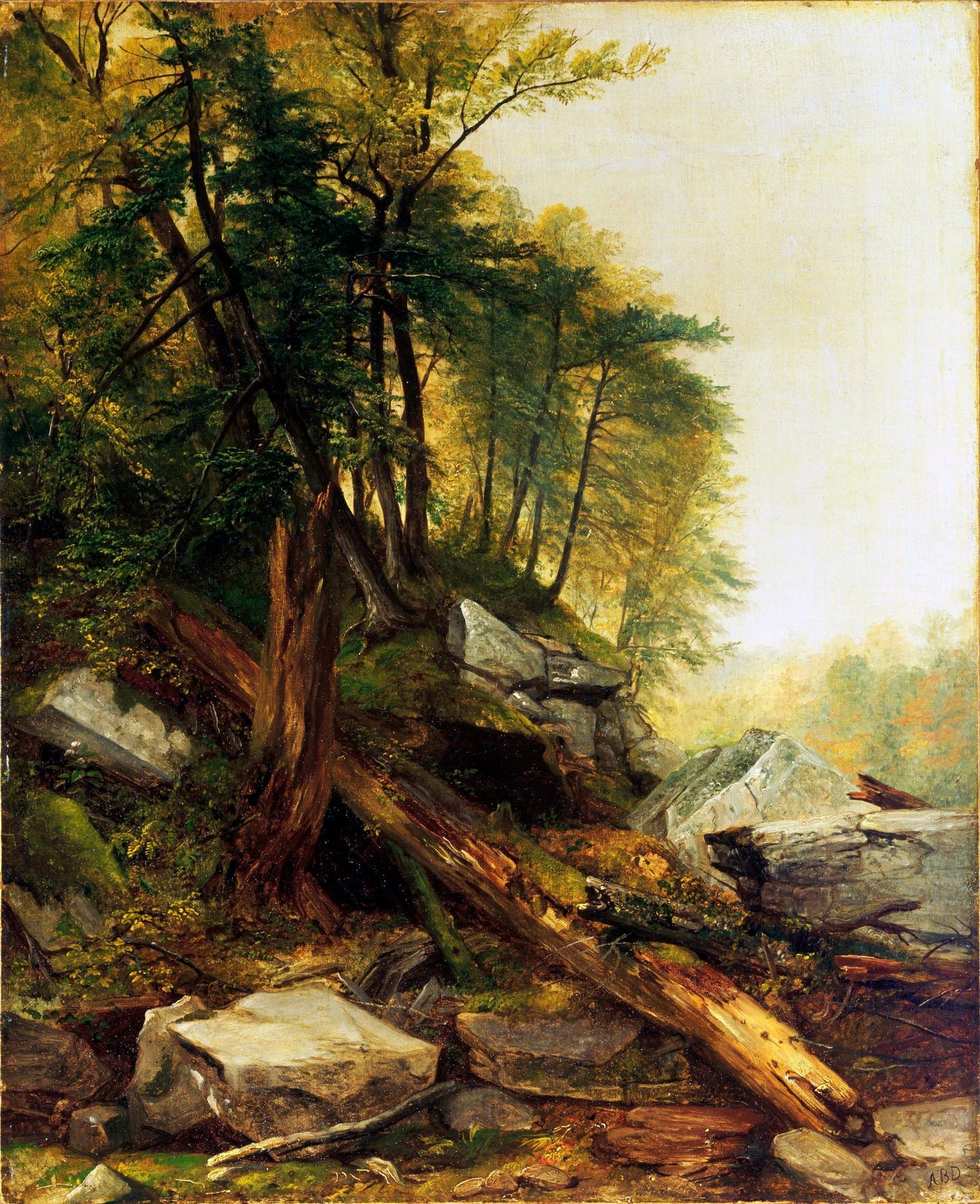 Landscape Oil Painting - Untamed Forest Scene Wall Art - Oil Painting Haven