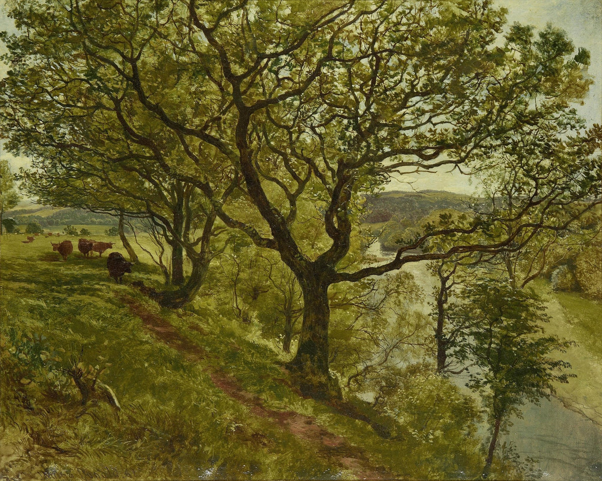 Hand-painted woodland path and river valley view landscape oil painting on canvas