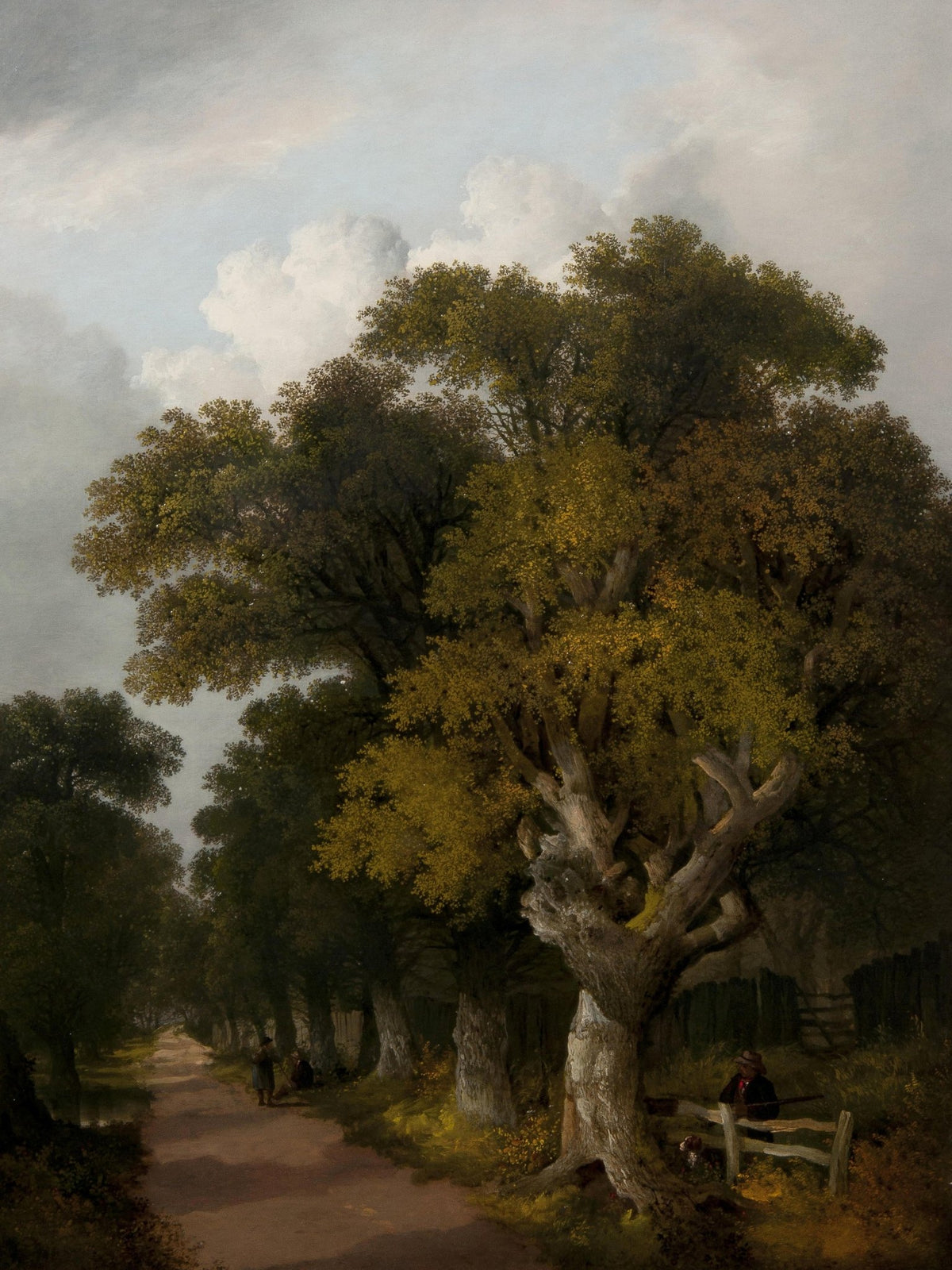 Landscape oil painting of old trees with textured brushwork along a quiet country road under a cloudy sky, hand painted oil. - Add Frame, Canvas, Country, Forest, Hand Painted, Landscape, Made To Order, Oil Painting, Road
