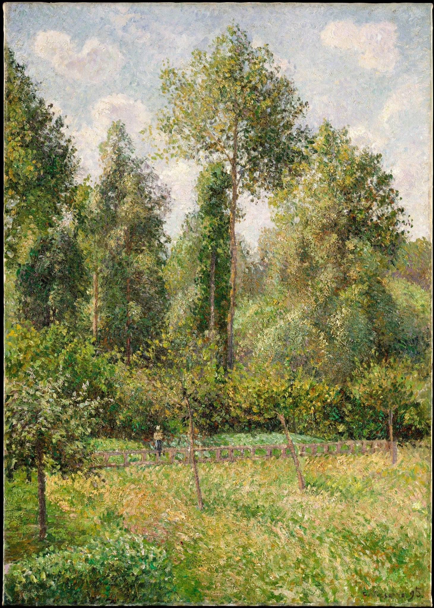 Landscape oil painting of tall poplar trees in a sunlit summer meadow with textured brushwork on canvas. - Add Frame, Canvas, Country, Field, Forest, Hand Painted, Landscape, Made To Order, Oil Painting