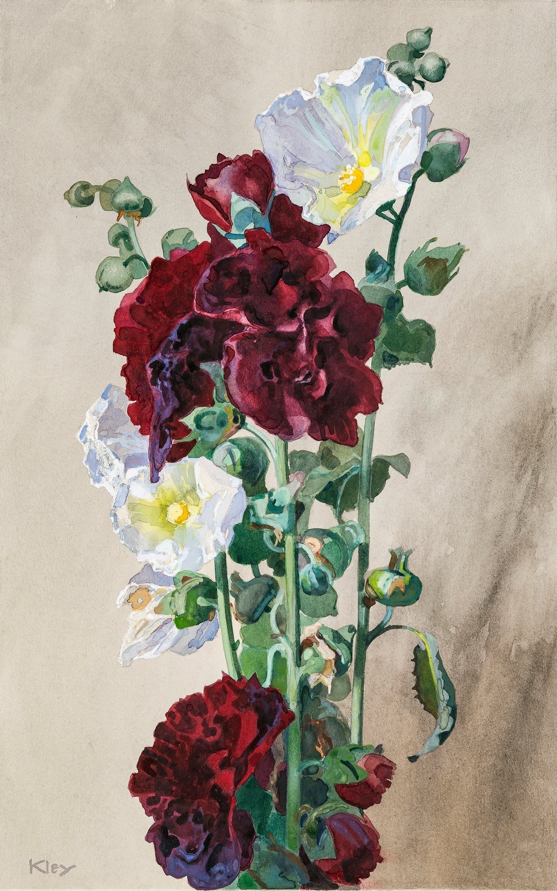 Red and White Hollyhocks Bloom Study - Floral Oil Painting - Oil Painting Haven