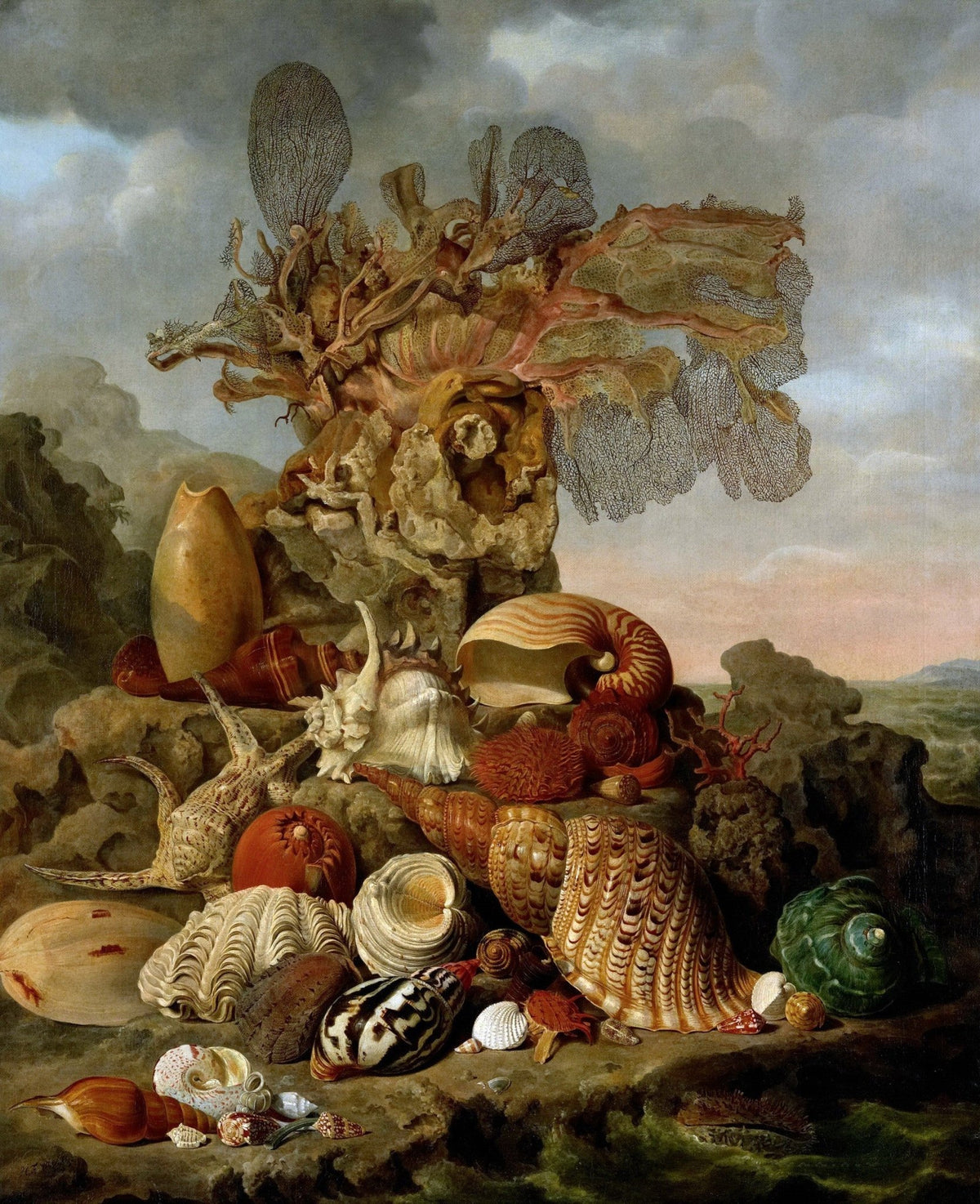 Sea Shells and Coral Arrangement - Still Life Oil Painting - Oil Painting Haven