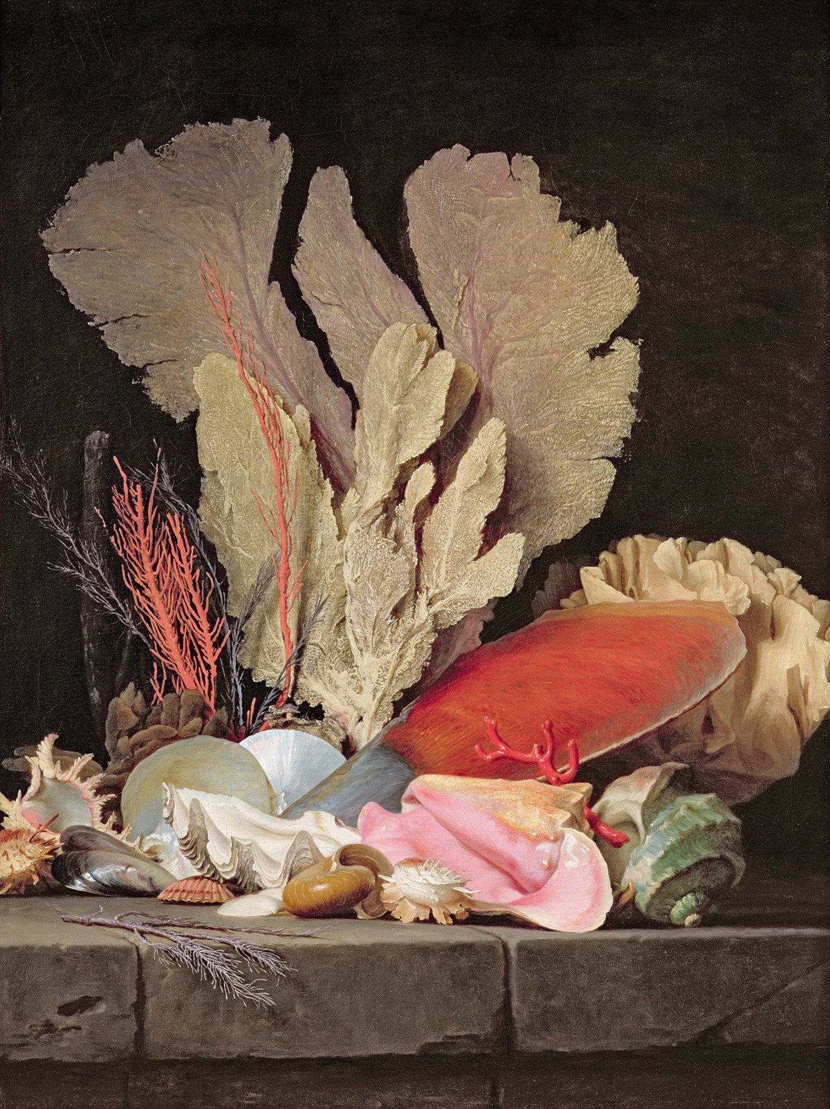 Seashells and Coral on Stone Ledge - Still Life Oil Painting - Oil Painting Haven