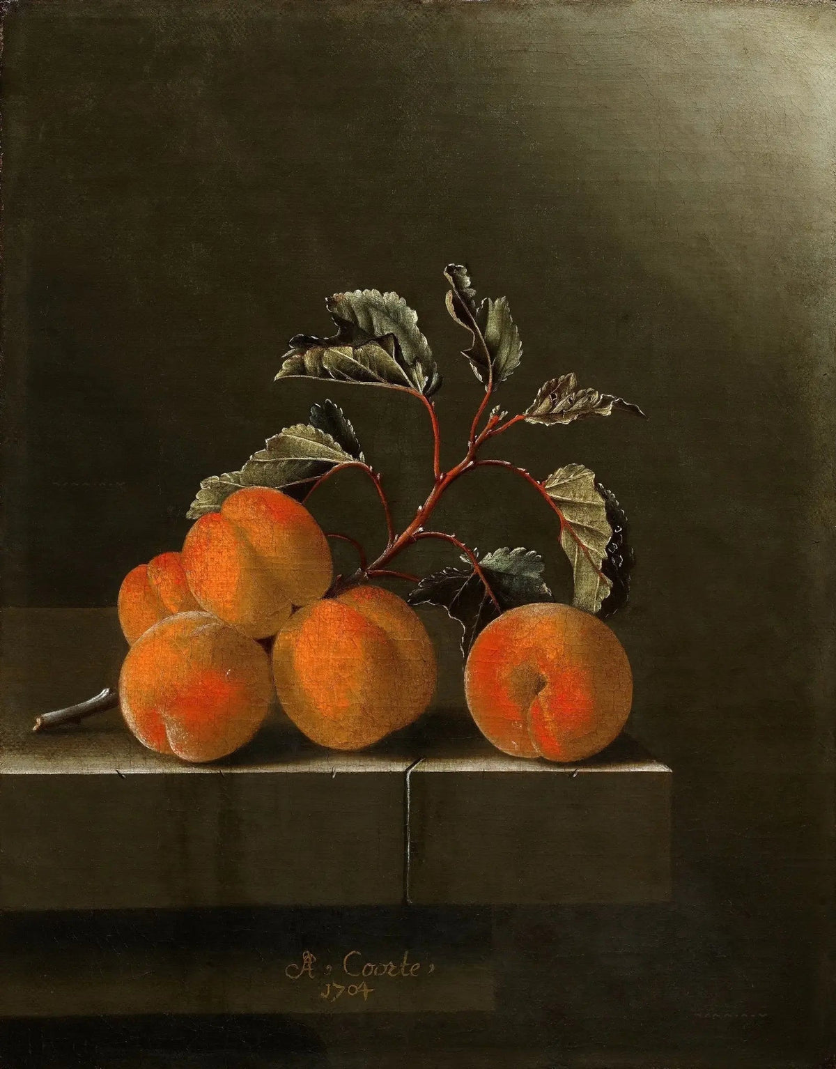 Still Life Oil Painting - Apricots with Leaves - Oil Painting Haven