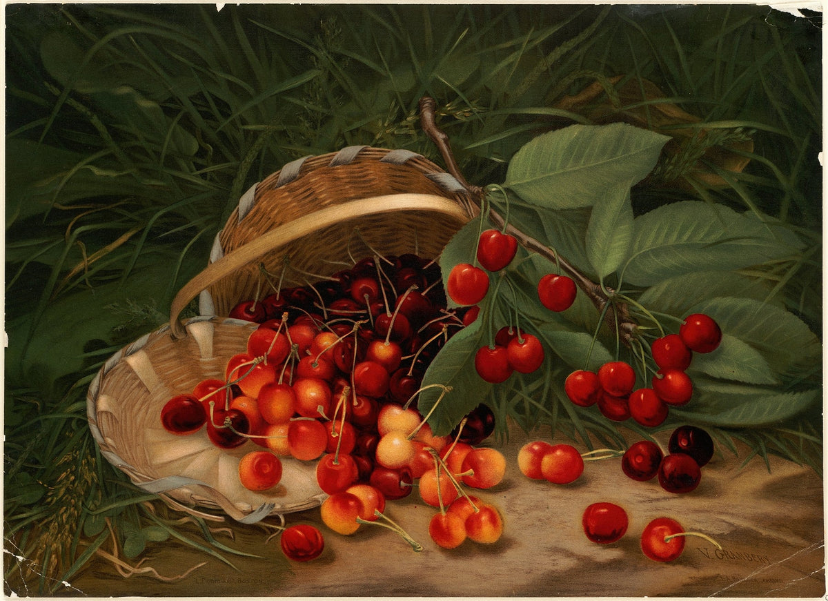 Still Life Oil Painting - Cherries in Woven Basket - Oil Painting Haven