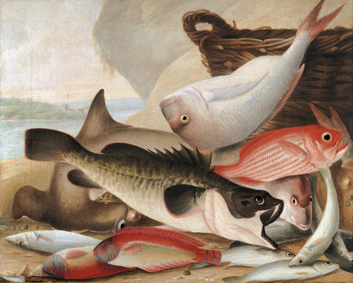 Still Life Oil Painting - Fresh Fish by the Shore - Oil Painting Haven