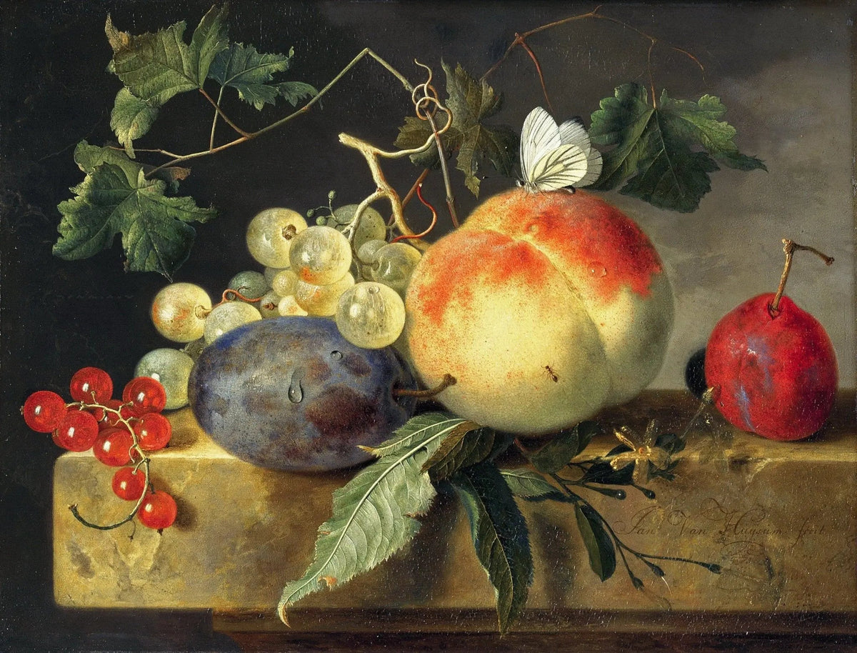 Still Life Oil Painting - Fruits, Butterfly and Leaves - Oil Painting Haven