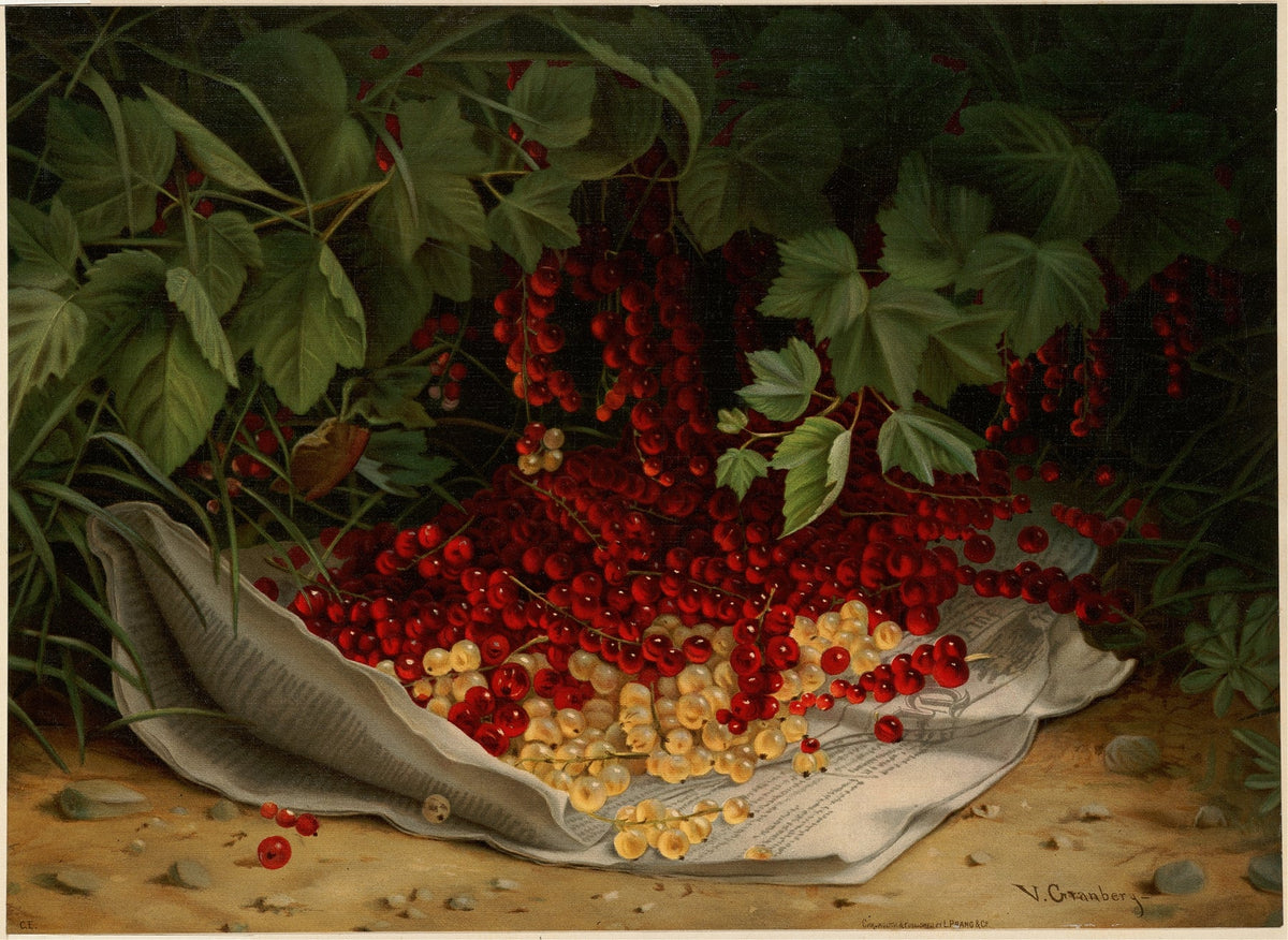 Still Life Oil Painting - Red and White Currants - Oil Painting Haven