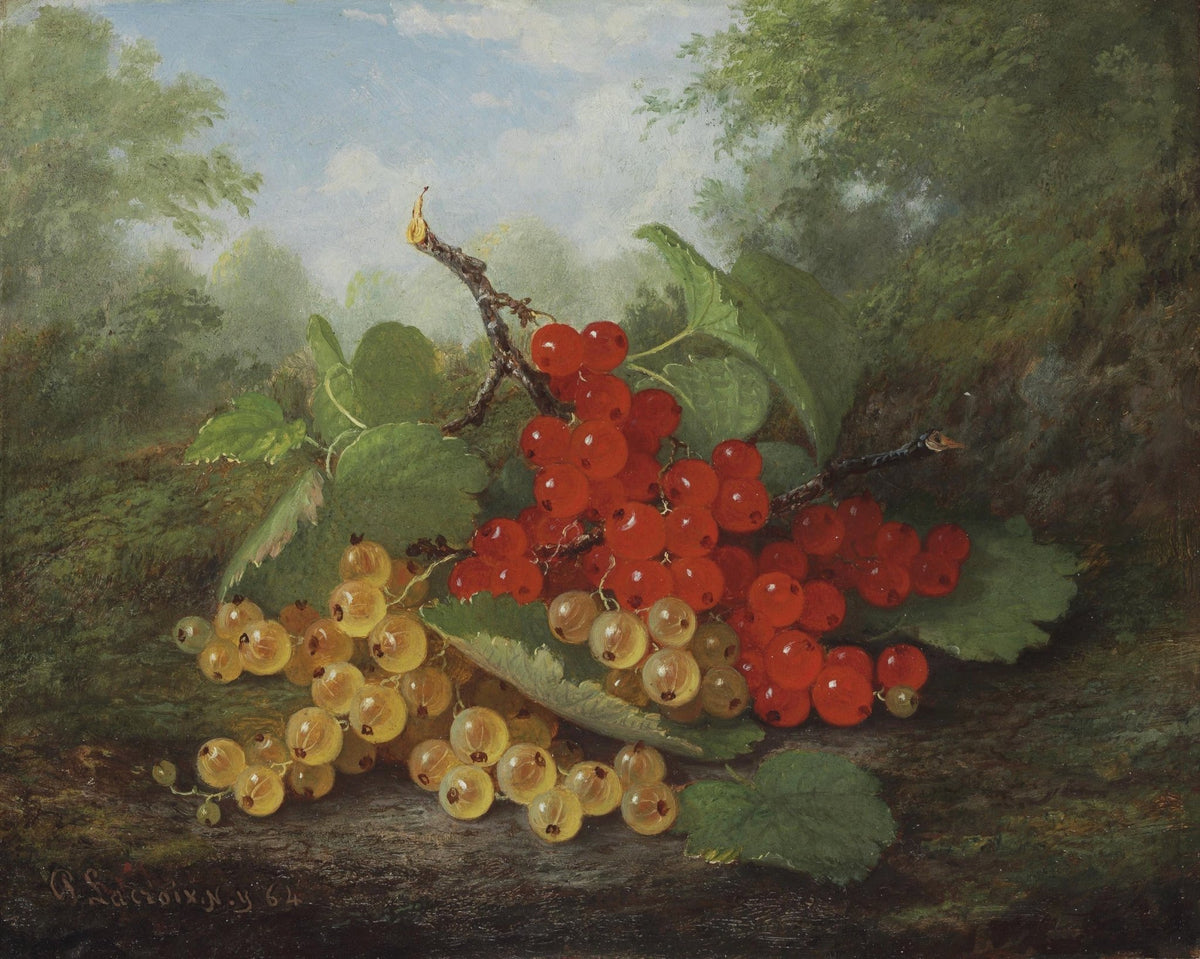 Still Life Oil Painting - Red and White Currants - Oil Painting Haven