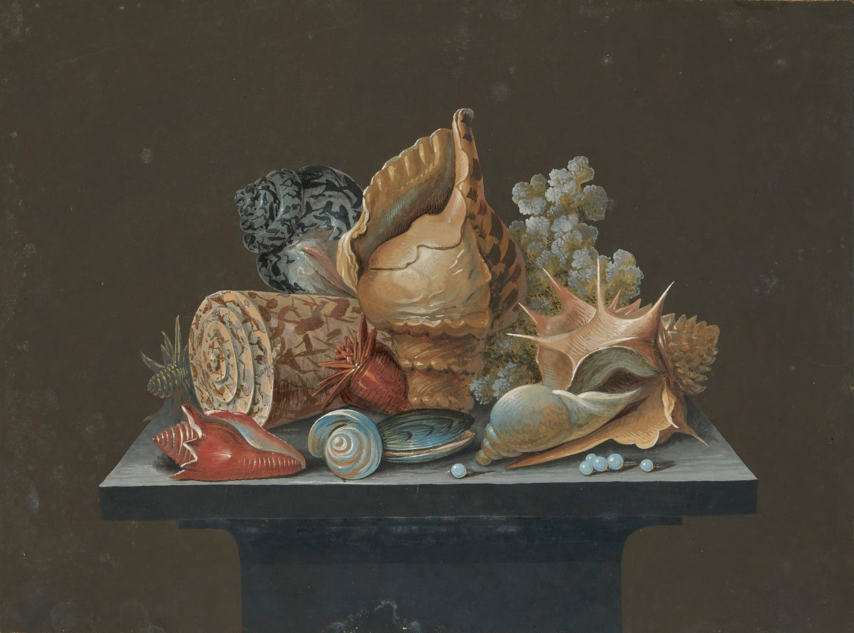 Still Life Oil Painting - Seashells and Coral - Oil Painting Haven