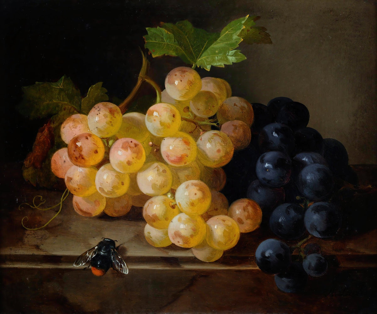 Still Life Oil Painting - White and Black Grapes - Oil Painting Haven