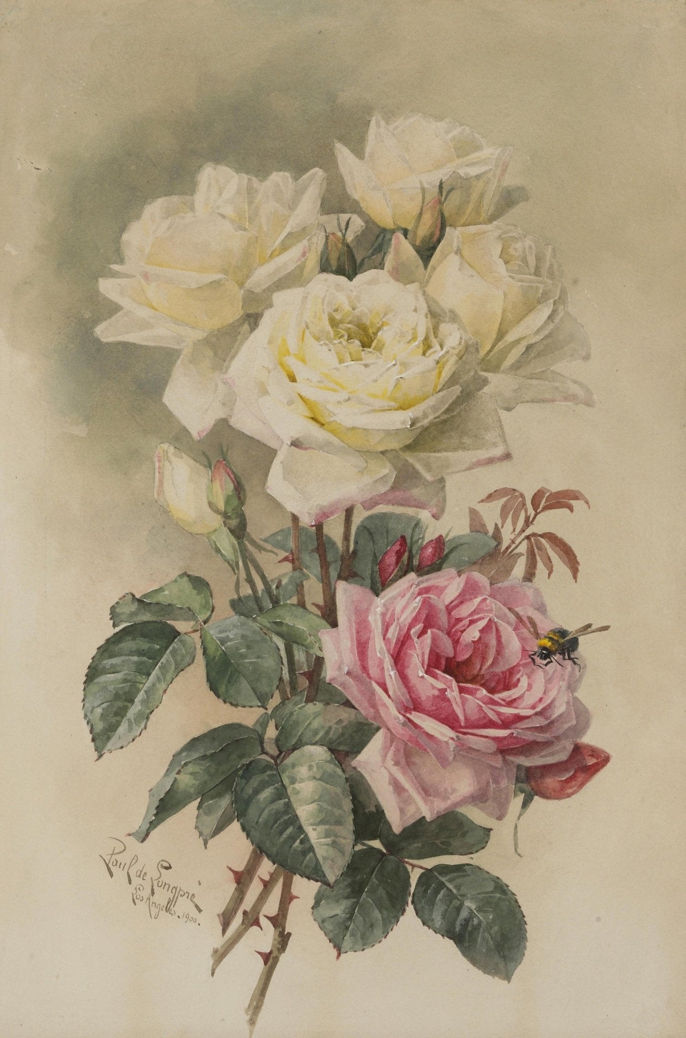 White and Pink Roses Botanical Study – Floral Oil Painting - Oil Painting Haven