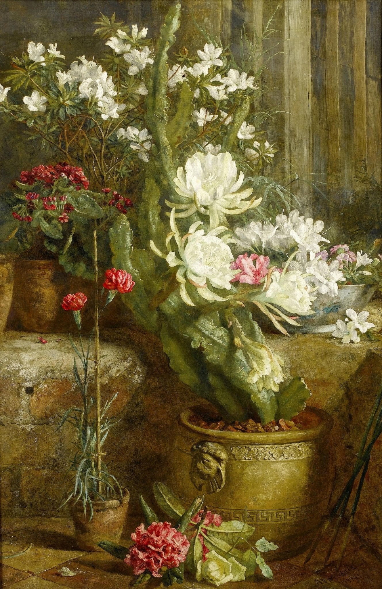 White Cactus Flowers in Garden Pot, Classic Still Life – Floral Oil Painting - Oil Painting Haven