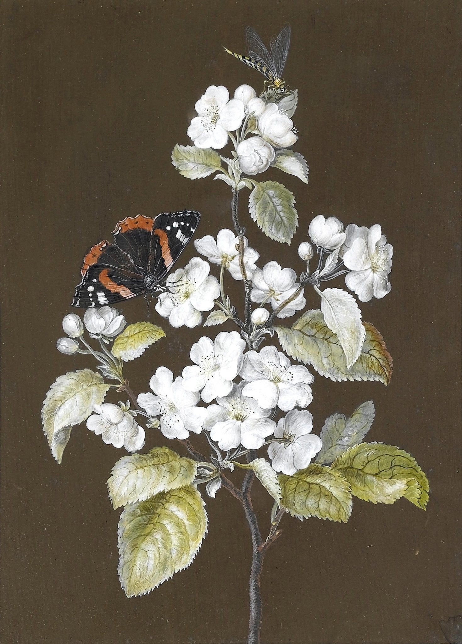 White Cherry Blossoms with Butterfly – Floral Oil Painting - Oil Painting Haven
