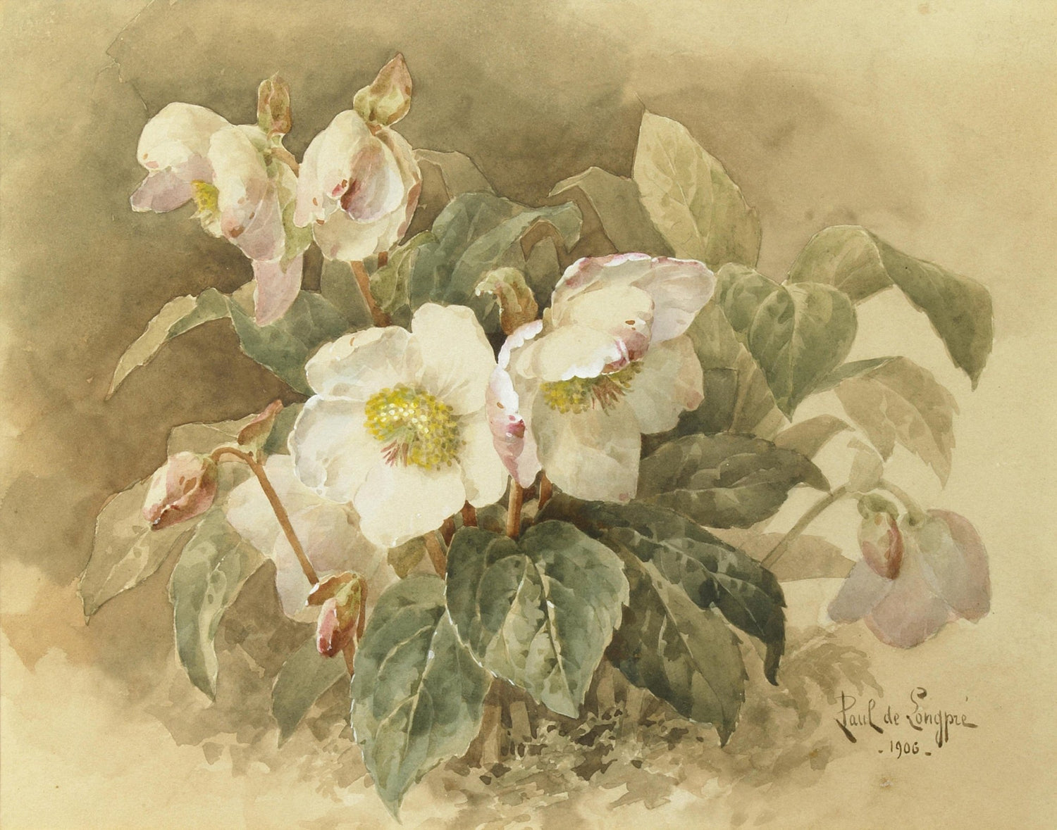 White Hellebore Botanical Still Life Art – Floral Oil Painting - Oil Painting Haven