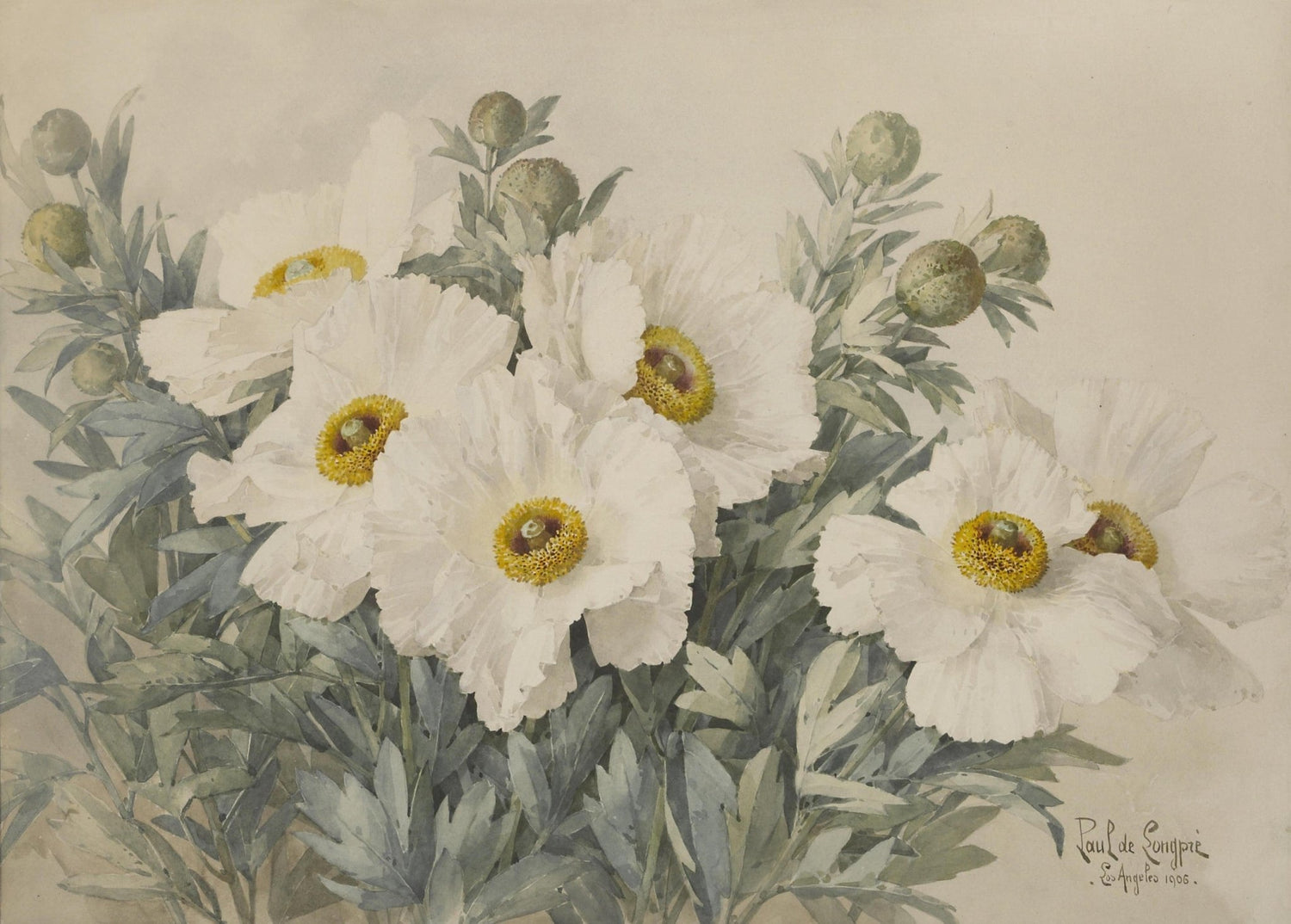 White Wildflowers with Soft Botanical Detail – Floral Oil Painting - Oil Painting Haven