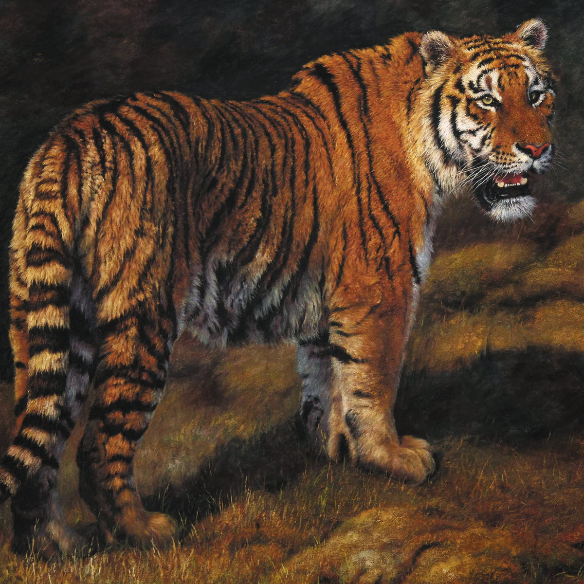 Animals Oil Painting - Hand-Painted Tiger in Dark Forest