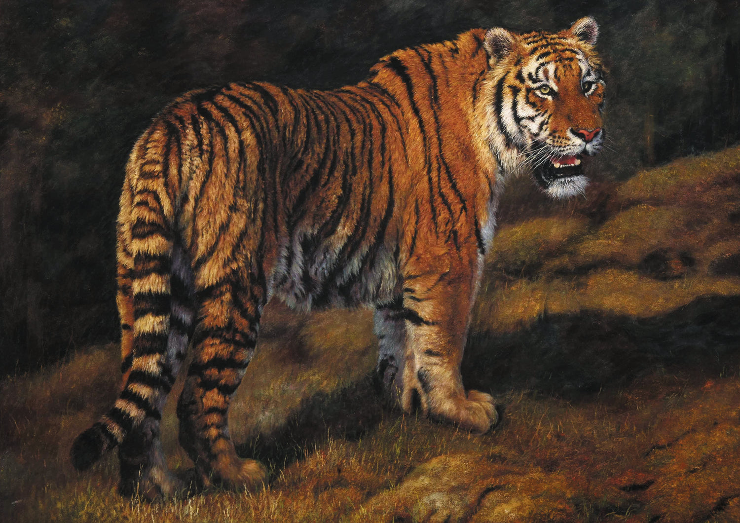 Animals Oil Painting - Hand-Painted Tiger in Dark Forest