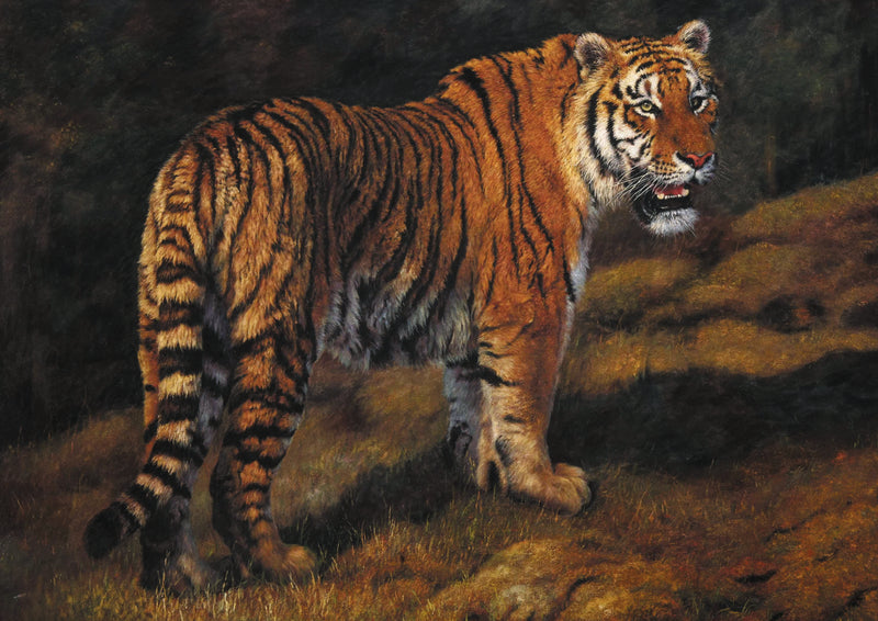 Animals Oil Painting - Hand-Painted Tiger in Dark Forest