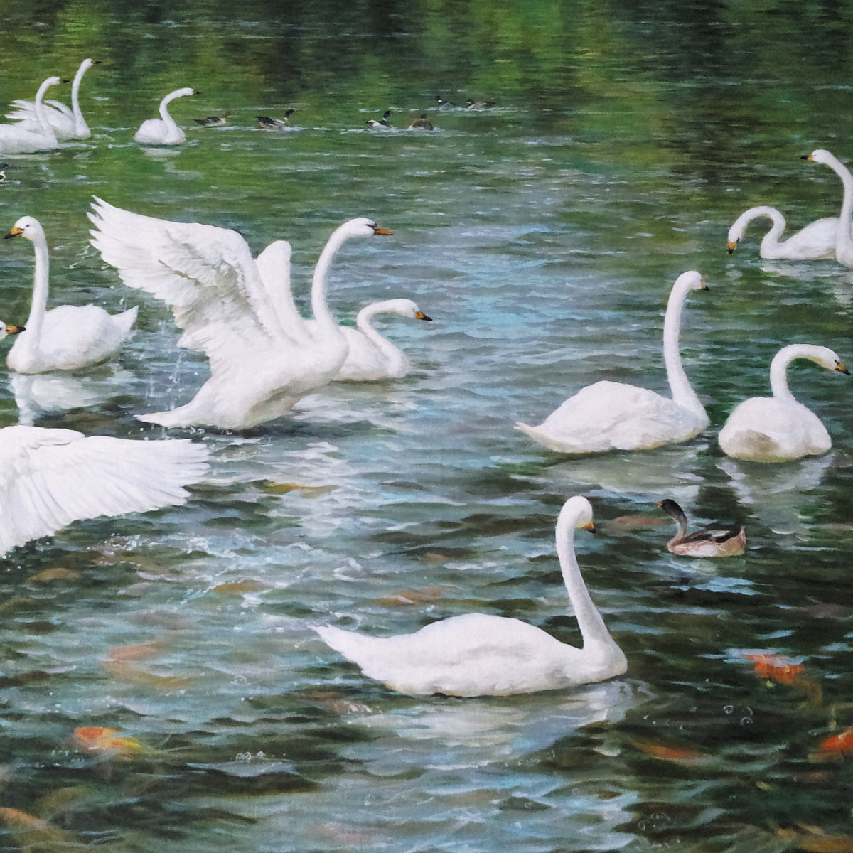 Animals Oil Painting - Hand-Painted Swans on Lake Scene