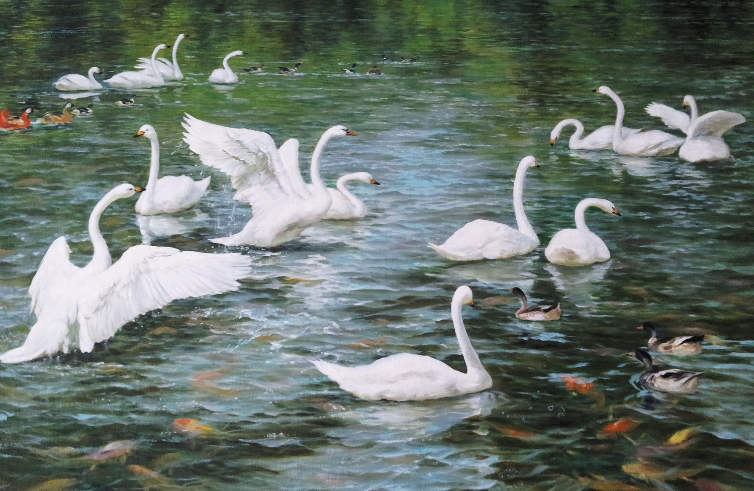 Animals Oil Painting - Hand-Painted Swans on Lake Scene