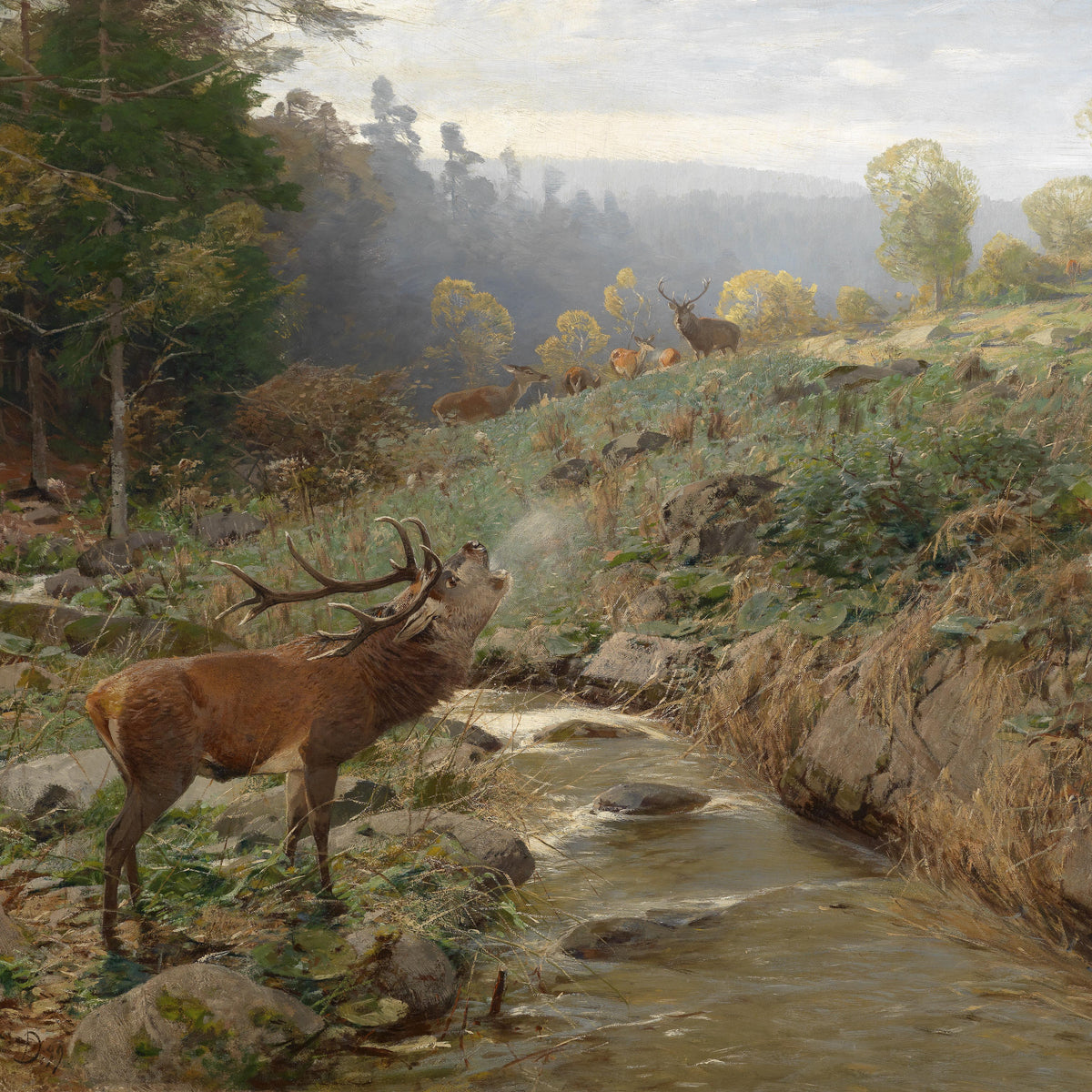 Landscape Oil Painting - Stag Bugling by Stream &  Forest with Deer Herd