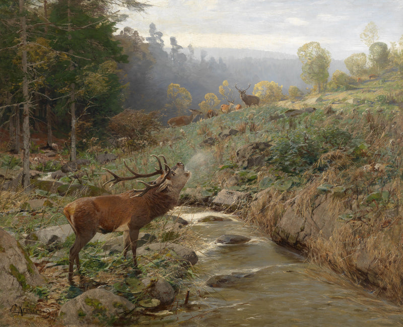 Landscape Oil Painting - Stag Bugling by Stream &  Forest with Deer Herd