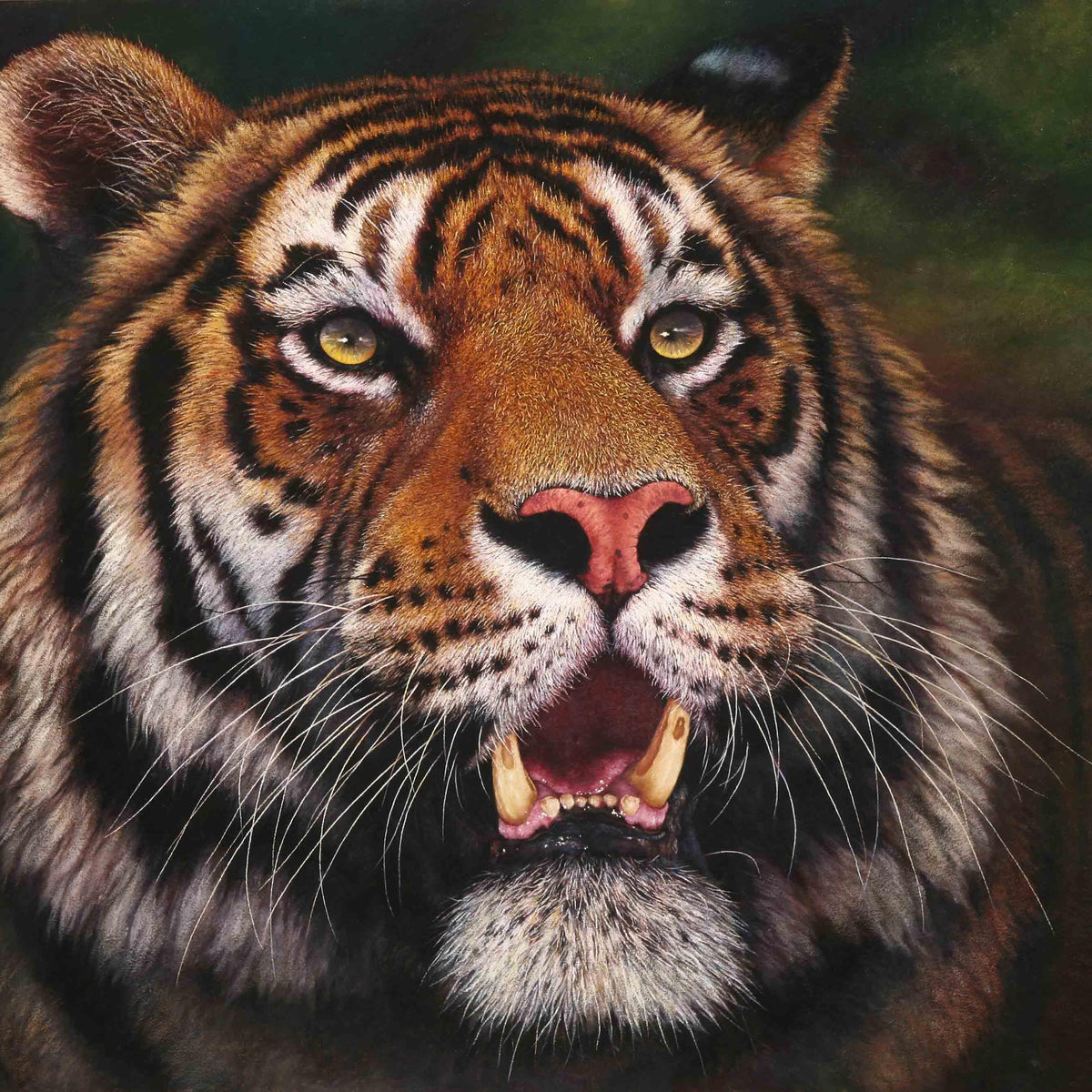 Animals Oil Painting - Hand-Painted Tiger Portrait on Canvas