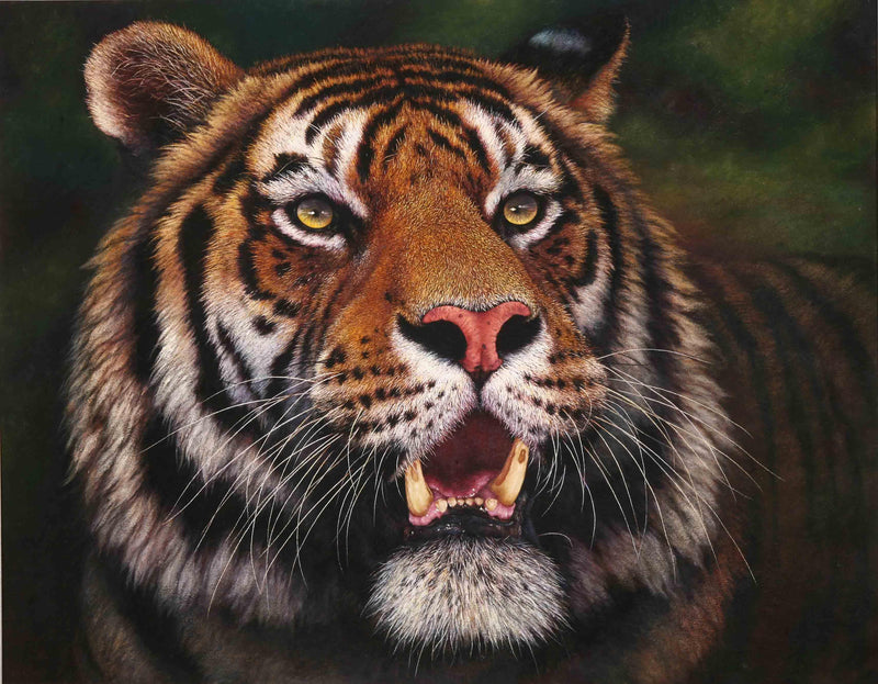 Animals Oil Painting - Hand-Painted Tiger Portrait on Canvas