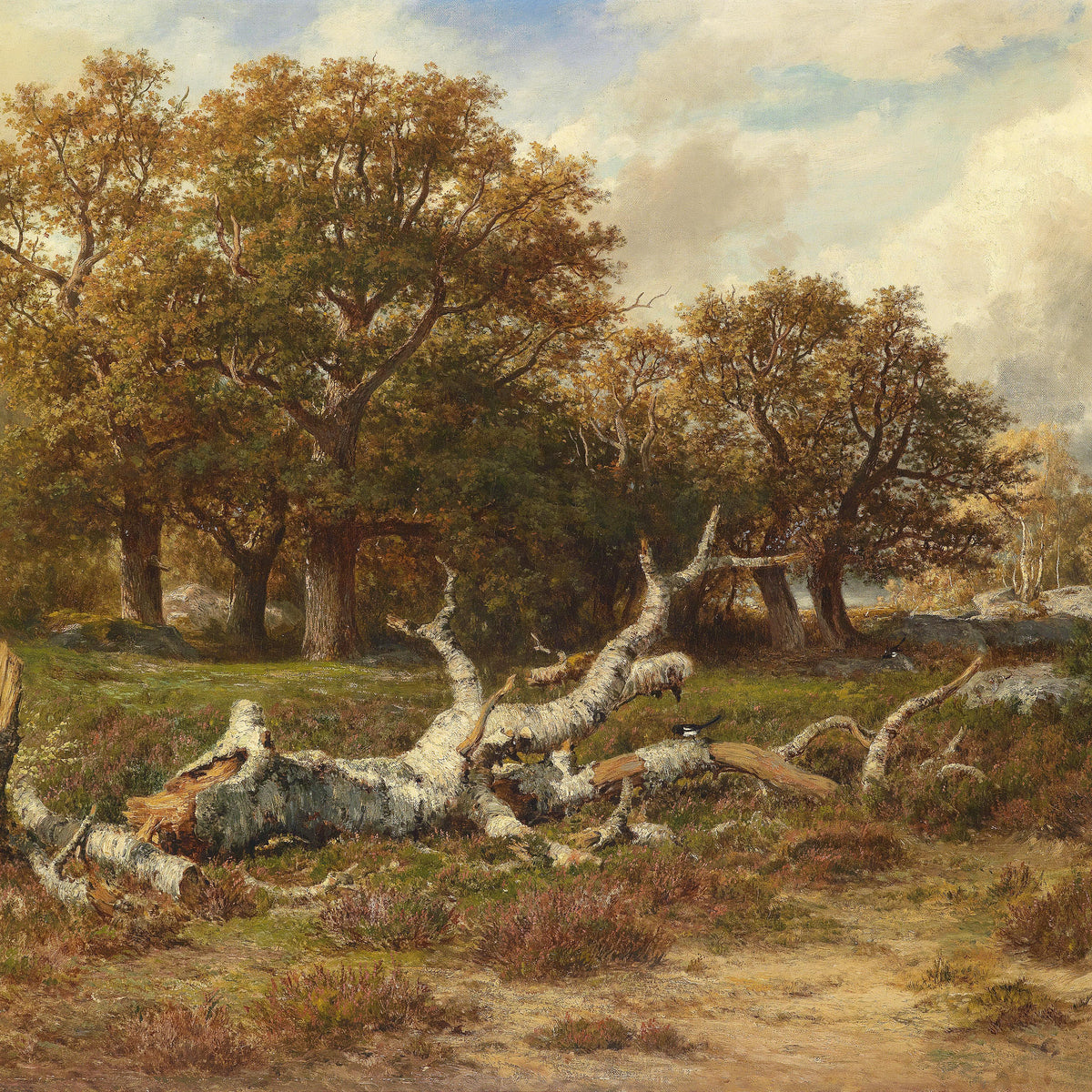 Landscape Oil Painting - Autumn Woodland: Fallen Birch Trunk, Old Trees