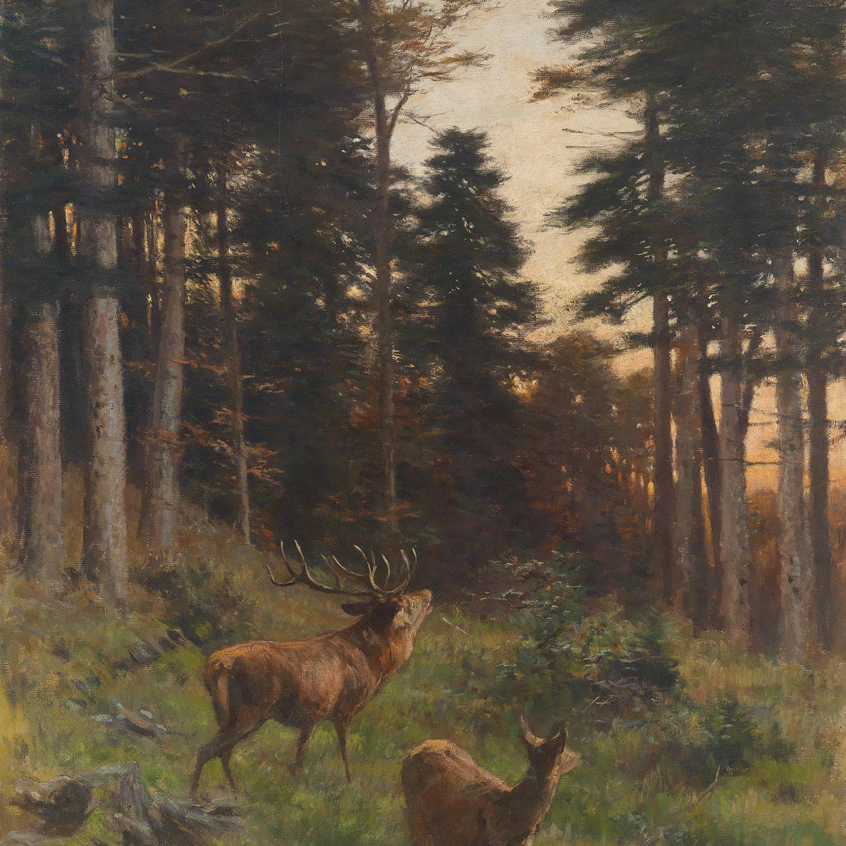 Landscape Oil Painting - Forest at Dusk: Stag & Deer Among Tall Pines
