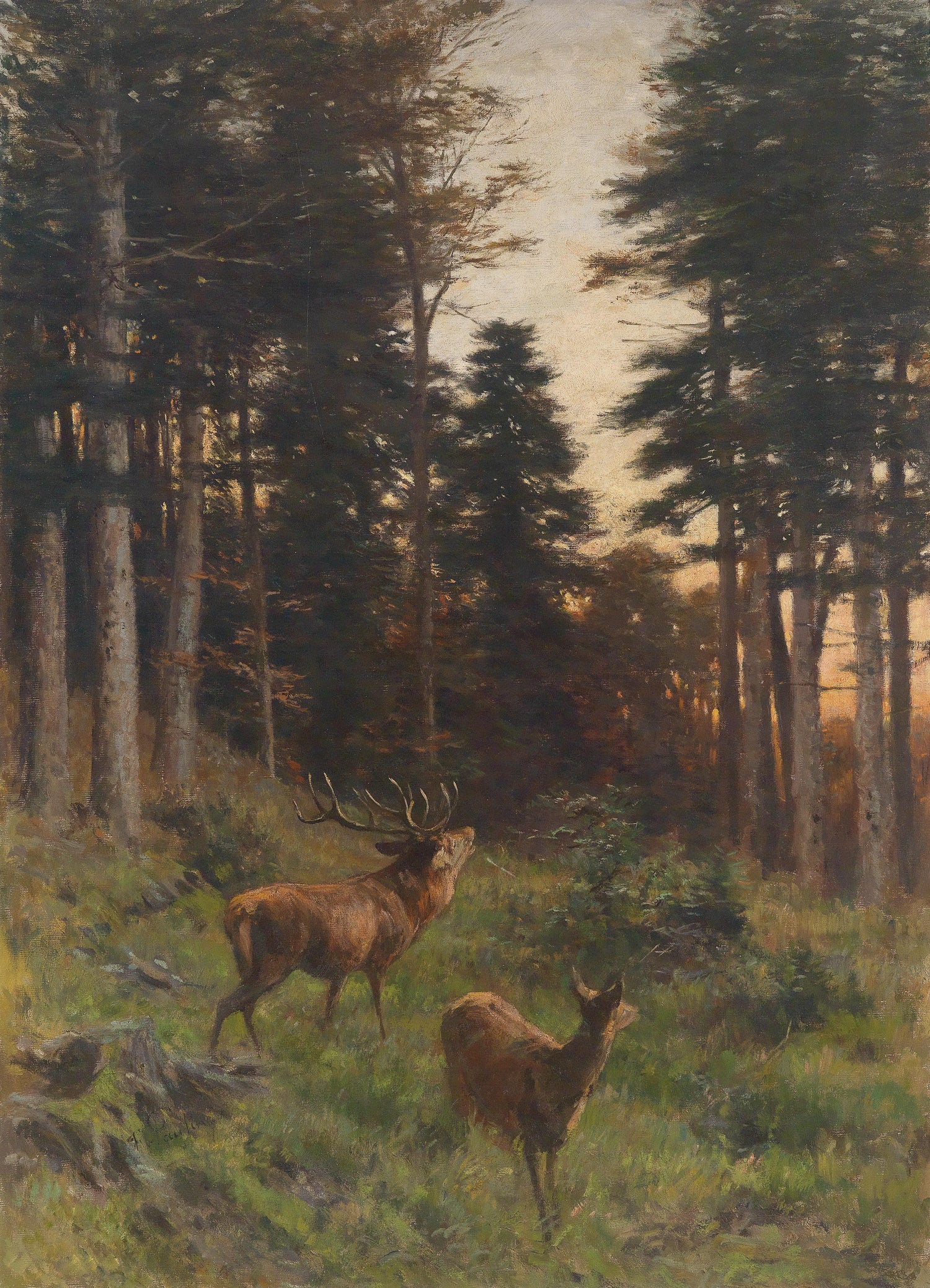 Landscape Oil Painting - Forest at Dusk: Stag & Deer Among Tall Pines